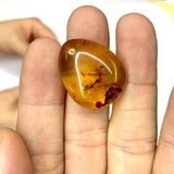 Natural Amber Pendant Gemstone Necklace For Gift