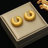 316L Stainless Steel Geometric Twist Earrings For Women