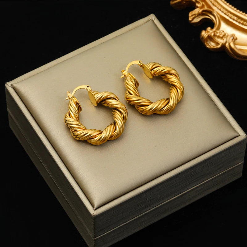 316L Stainless Steel Geometric Twist Earrings For Women