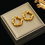 316L Stainless Steel Geometric Twist Earrings For Women