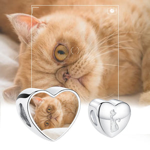 925 Silver Pet Cat Heart Bead Photo Charms Fit Bracelet Necklace