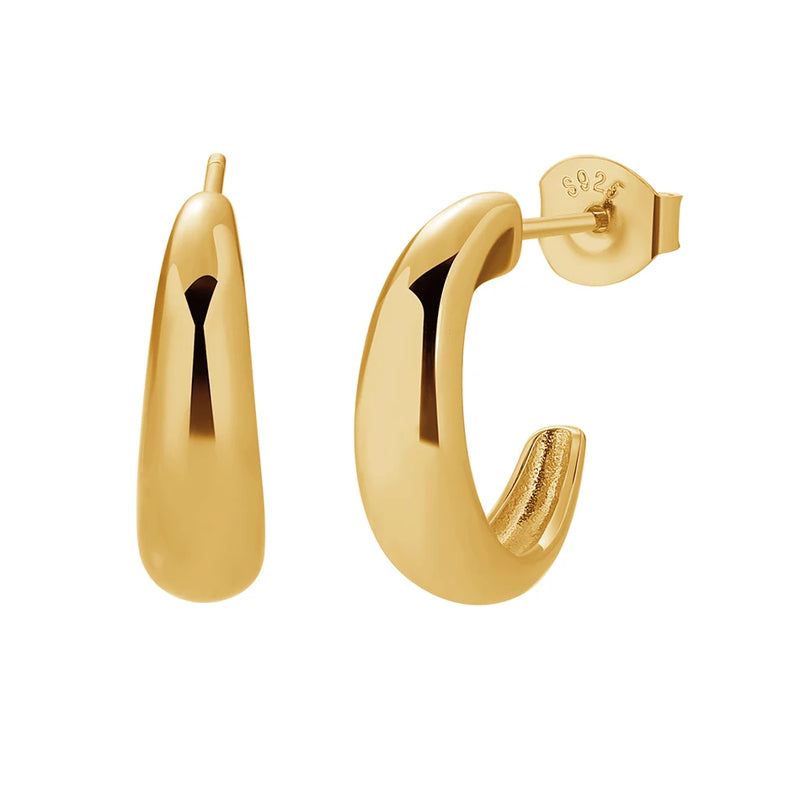 Elegant 18K Plated Silver Earrings Fine Jewelry Women Birthday Gift
