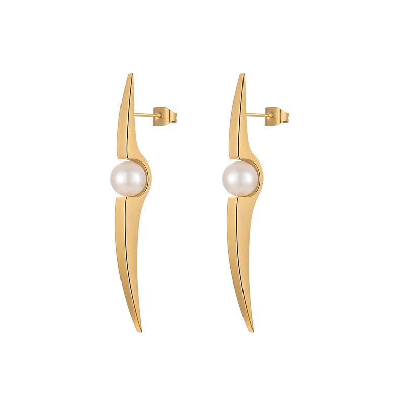 Stainless Steel Earrings for Women Jewelry Party E221422