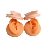 Silicone Ear Model for Teaching & Display
