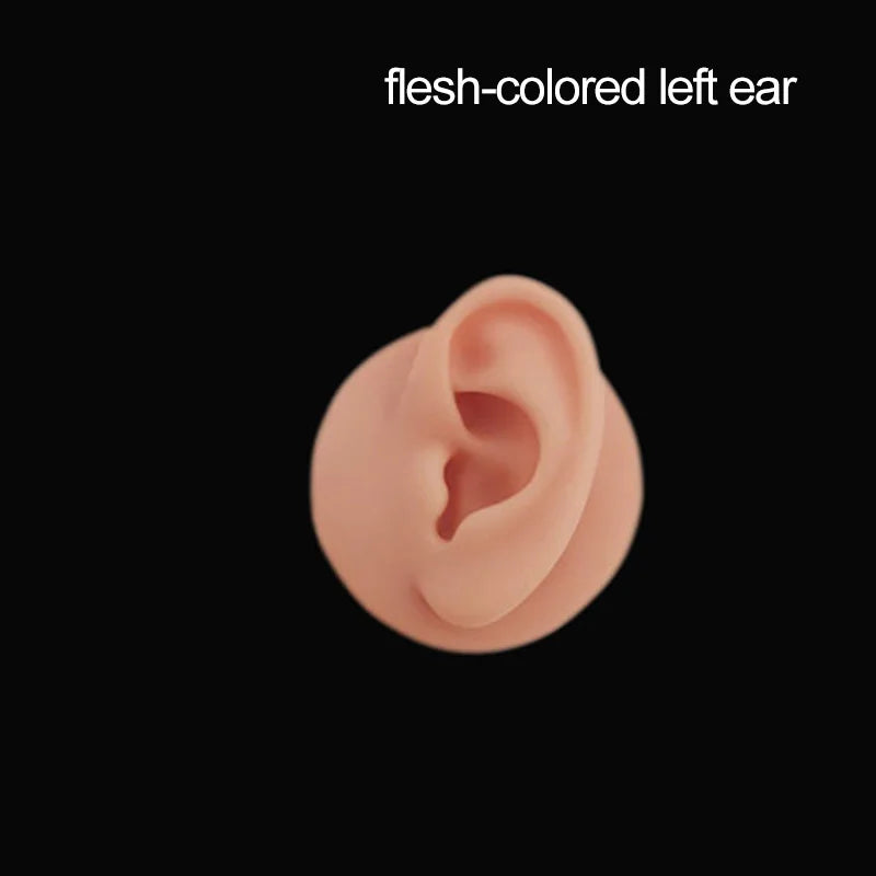 Silicone Ear Model for Teaching & Display