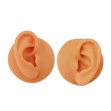 Silicone Ear Model for Teaching & Display