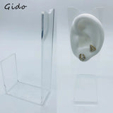Silica Gel Ear Simulation Model with Acupoints
