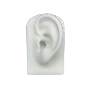 Silica Gel Ear Simulation Model with Acupoints