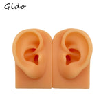 Silica Gel Ear Simulation Model with Acupoints