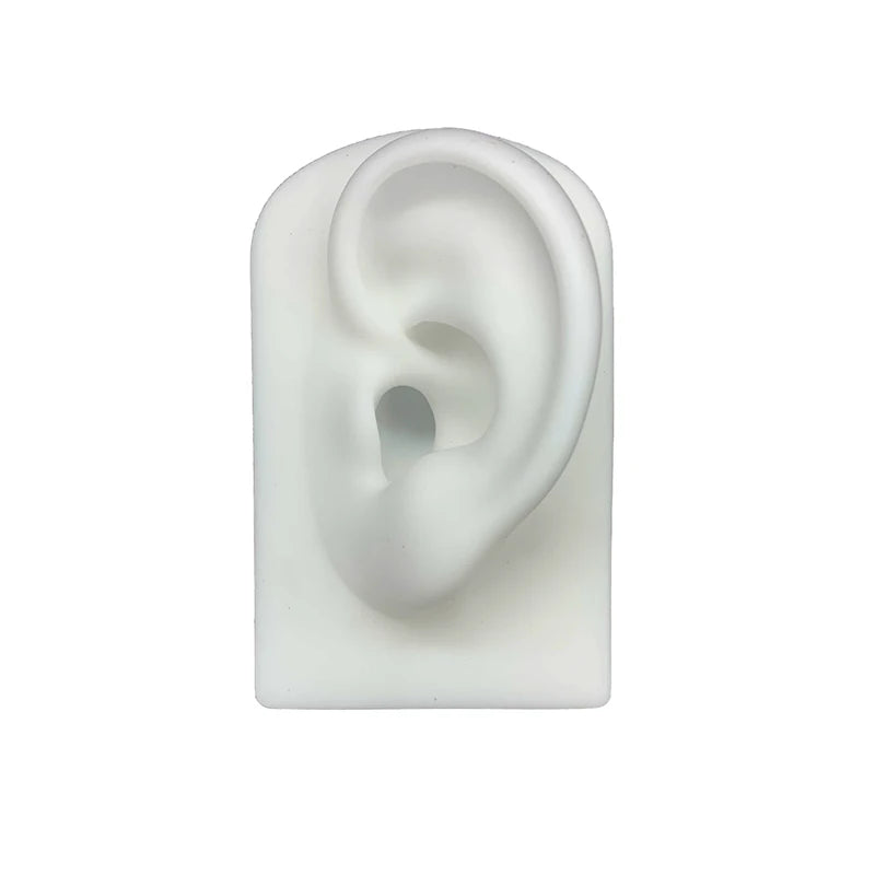 Silica Gel Ear Simulation Model with Acupoints