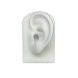 Silica Gel Ear Simulation Model with Acupoints