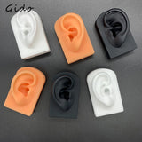 Silica Gel Ear Simulation Model with Acupoints