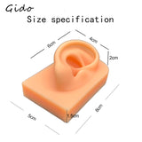 Silica Gel Ear Simulation Model with Acupoints