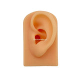 Ear Silicone Model Practice Body Piercing Teaching Tool Earring for Jewelry Disp