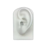 Ear Silicone Model Practice Body Piercing Teaching Tool Earring for Jewelry Disp