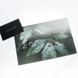 925 Silver Stud Earrings Circles Classic Gift