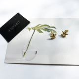 Starfish Ear Stud Earrings 925 Sterling Silver Ocean Gift