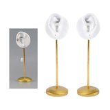 Ear Stud Holder Tabletop Round Base