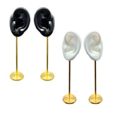 Earring Display Racks Ear Model Stud Holder Earring Holder Props