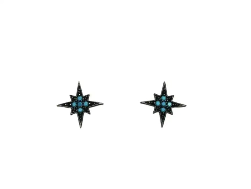 Earring Silver 925 star bathroom pink turquoise fine