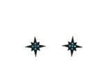 Earring Silver 925 star bathroom pink turquoise fine