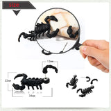 Punk Scorpion Skull Stainless Steel Earrings
