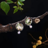 S925 Sterling Silver Stud Earrings Sparkling Crystal Earrings for Women