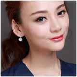 925 Sterling Silver Earrings Crystal Water Drop Jewelry