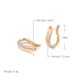 Smooth Metal Double Zircon English Earrings 585 Rose Jewelry