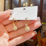 Zircon Pearl Ball Earrings for Women