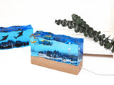 Undersea & Mountain Epoxy Resin Molds for DIY Crafts