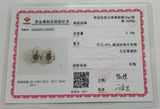 925 Silver Wedding Earrings Rainbow CZ S-3732