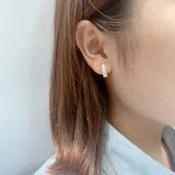 S925 Sterling Silver Micro-Set Earrings for Girlfriend
