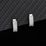 S925 Sterling Silver Micro-Set Earrings for Girlfriend