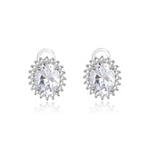 S925 Sterling Silver Egg-Shaped Doves Earrings for Women