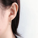 925 Sterling Silver Earrings Micro Inlaid Zircon Moon Star Wild Female Models