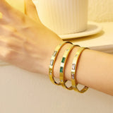 Crystal Titanium Bracelet with Zircon 18K Plated Bangle