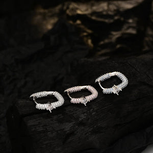 S925 Sterling Silver Zircon Women's Earrings