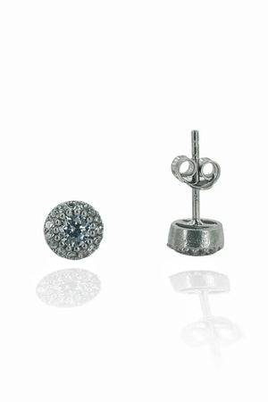 Zircon Sports 925 Silver Earrings