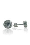 Zircon Sports 925 Silver Earrings