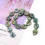 Abalone Shell Leaf Beads 10-20mm Colorful Charm DIY Jewelry