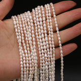 Freshwater Pearl Bead String for DIY Jewelry Decoration