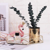 Stylish Iron Storage Display Tray Modern Creative Organizer Plate