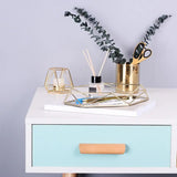 Stylish Iron Storage Display Tray Modern Creative Organizer Plate