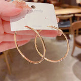 925 Silver Needle Plated Women's Earrings Not Allergic
