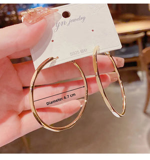 925 Silver Needle Plated Women's Earrings Not Allergic