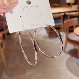925 Silver Needle Plated Women's Earrings Not Allergic