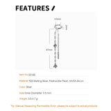 S925 Sterling Silver Tassel Chain Earrings with Zircon
