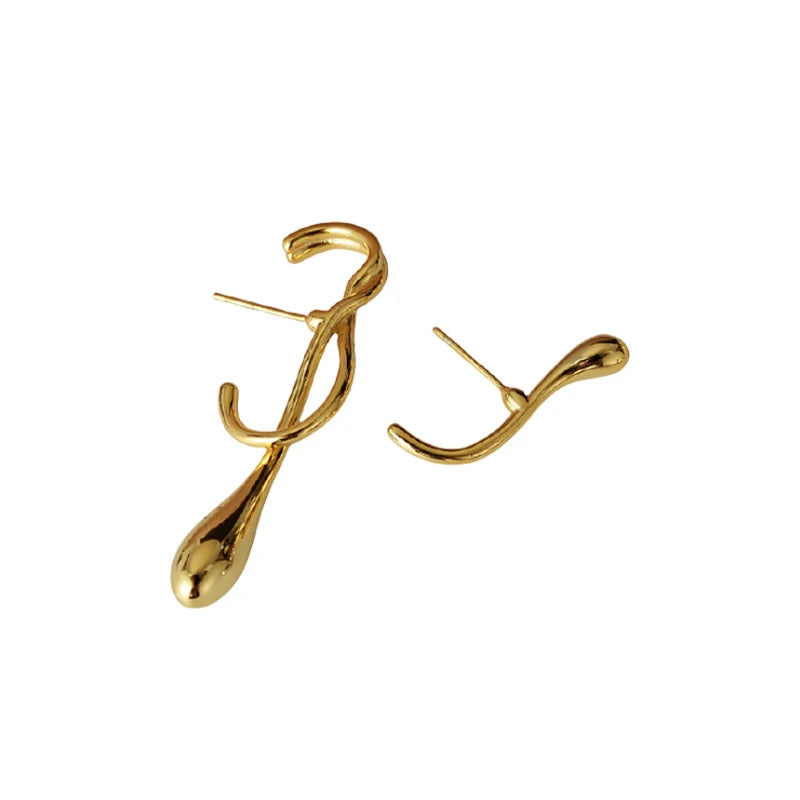 F.I.N.S Exaggerated Abstract S925 Silver Stud Earrings