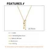 Color Zircon S925 Silver Bar Pendant Chain Necklace